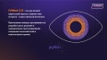 Знатоков «Питона» приглашают на хакатон под названием iVision 2.0. Главная тема – искусственный интеллект