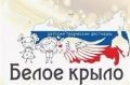 Благотворительный всероссийский творческий конкурс-фестиваль “Белое крыло”