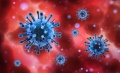 Основные рекомендации по профилактике новой коронавирусной инфекции COVID-19