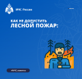 Памятка МЧС России: "Как не допустить лесной пожар"