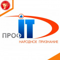 «Народное признание»: открыто голосование за лучшие электронные сервисы России